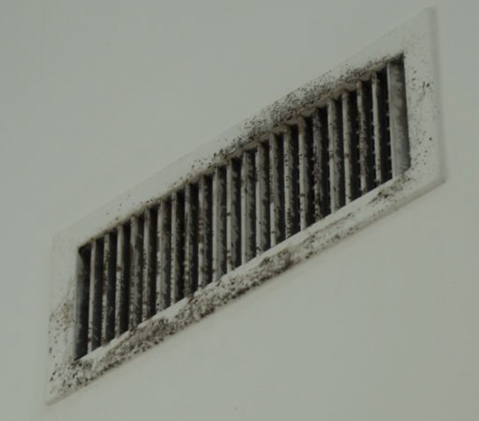 Molded Vent, air duct sanitation