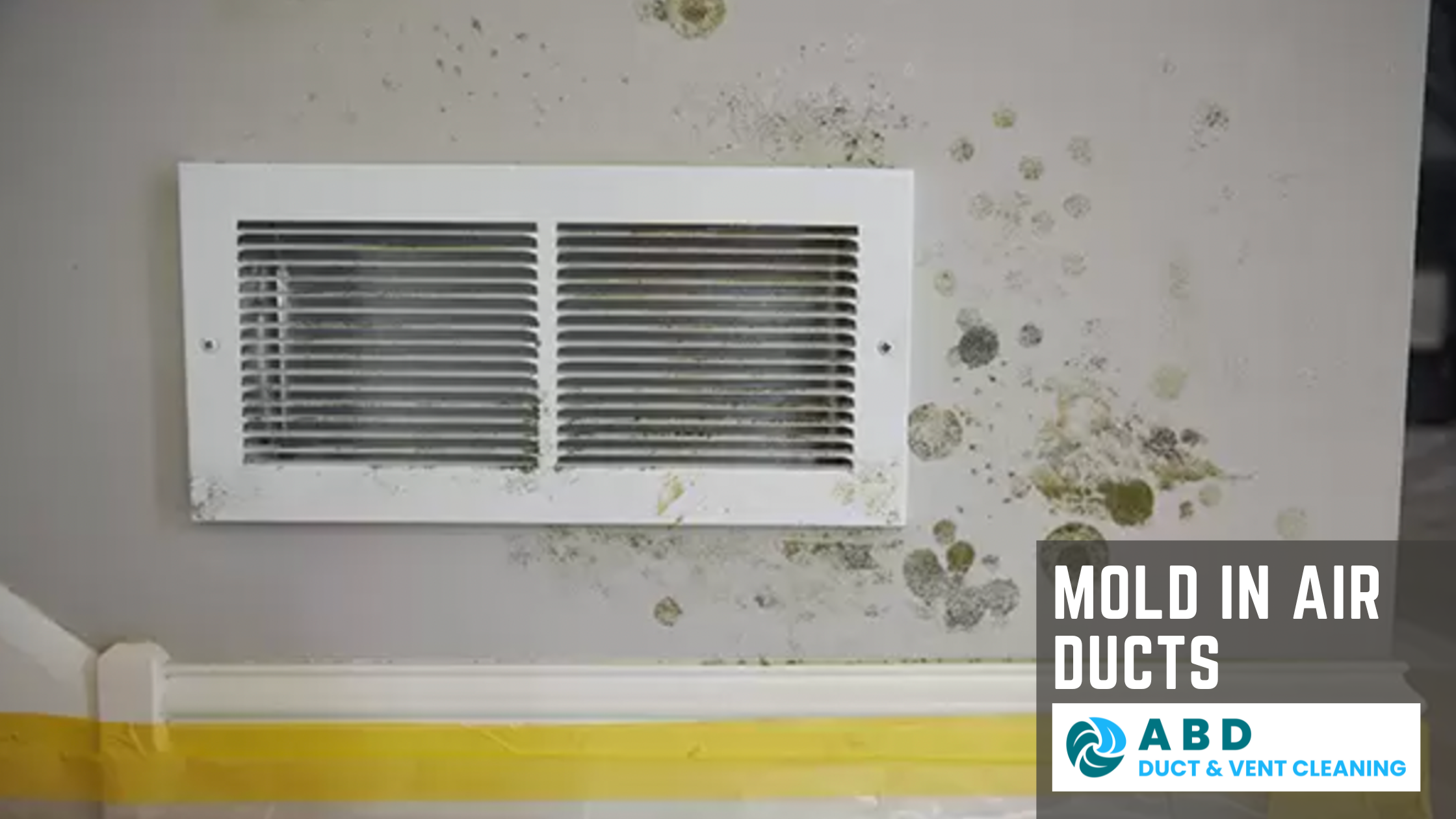 Mold in Air Ducts. Mold in Air Vent
