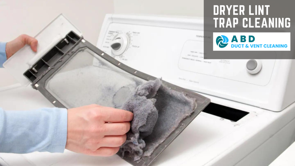 Dryer Lint Trap Cleaning