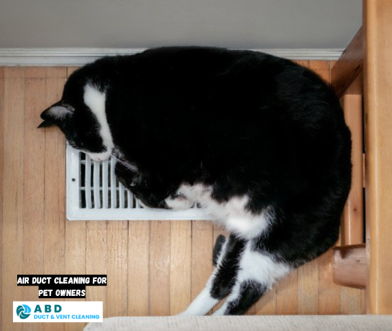 air duct cleaning for pet owners