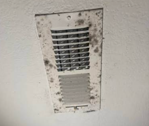Mold in Air Duct in Northern Virginia